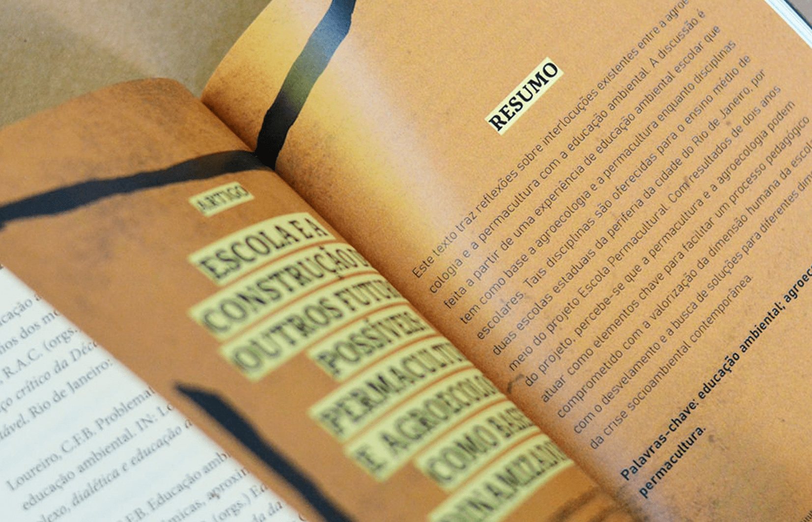 Convergências socioambientais, imagem 2 de 5