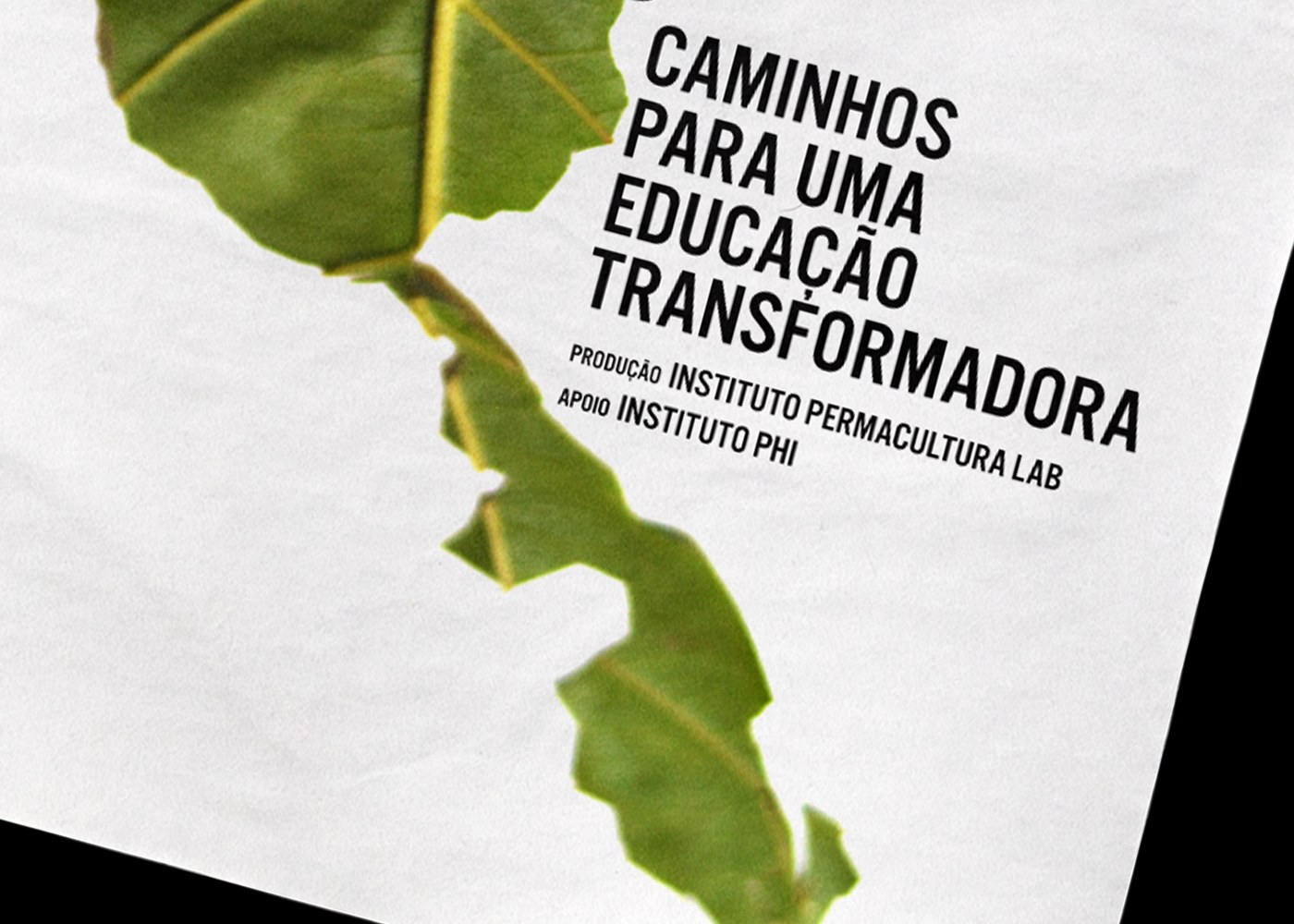 Formigueiro, imagem 4 de 5
